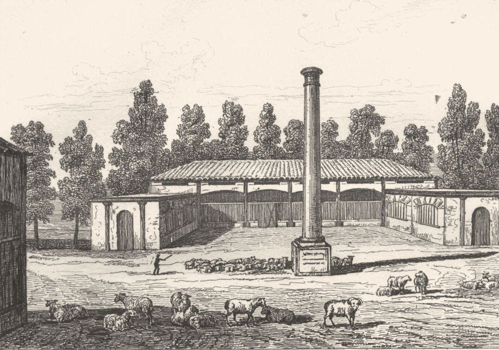 LANDES. Bergerie impériale des Landes 1835 old antique vintage print picture